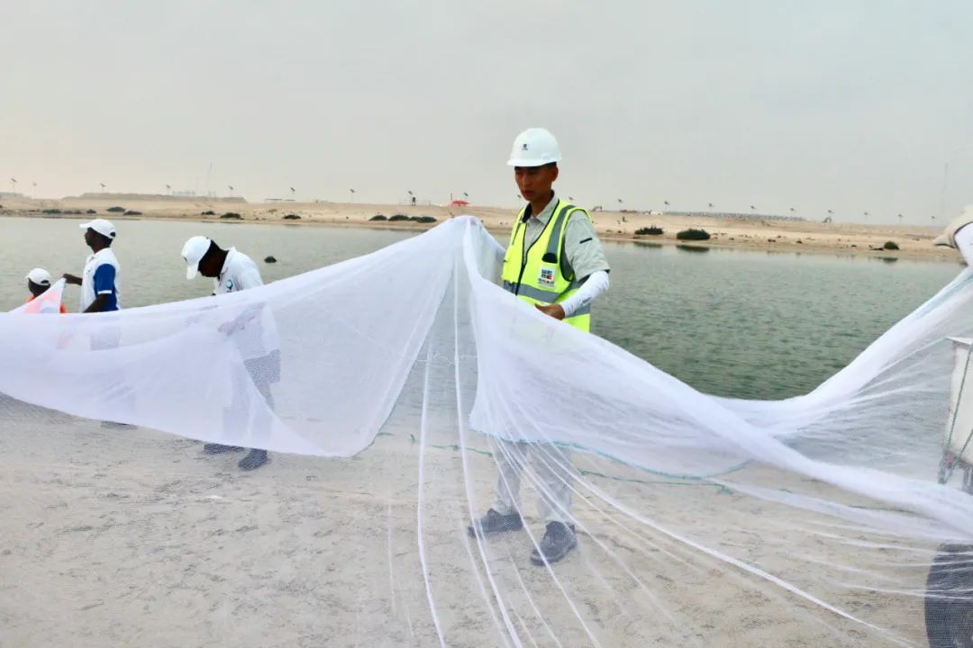 BB电子游戏(中国集团)官方网站