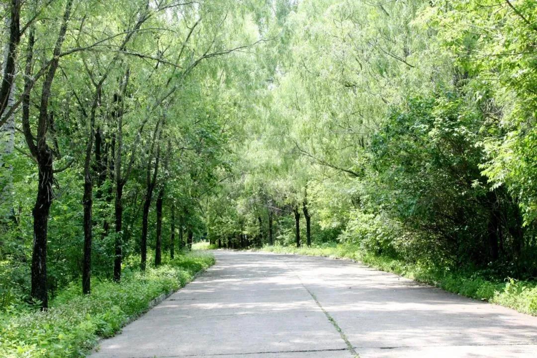 BB电子游戏(中国集团)官方网站