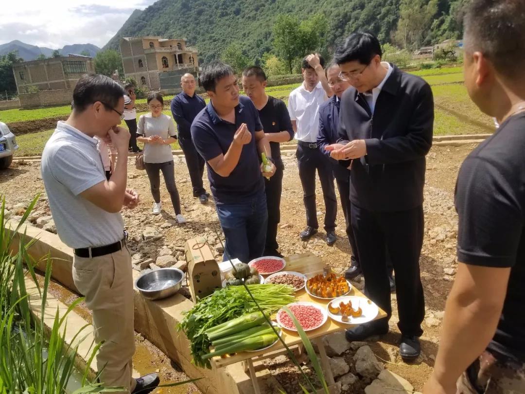 BB电子游戏(中国集团)官方网站