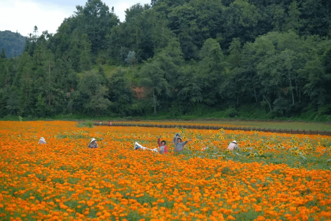 BB电子游戏(中国集团)官方网站