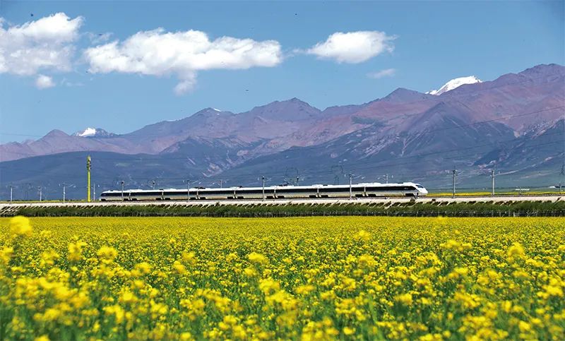 张玉卓、、国资、、央企、、国资委、、书记、、主任、、国企、、企业刷新