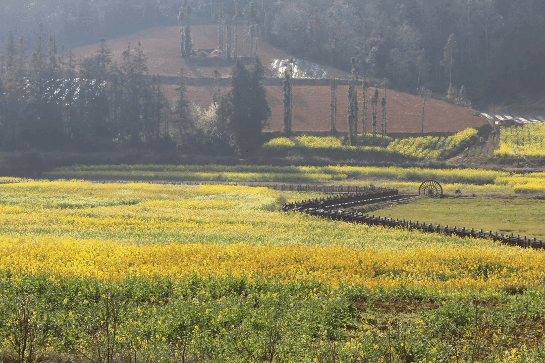 BB电子游戏(中国集团)官方网站